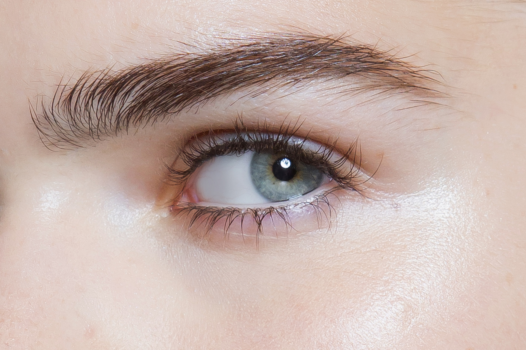 Brow gels: the best products on the market now